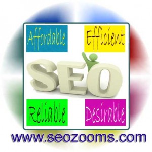 Affordable SEO Services Company India - SEO Zooms