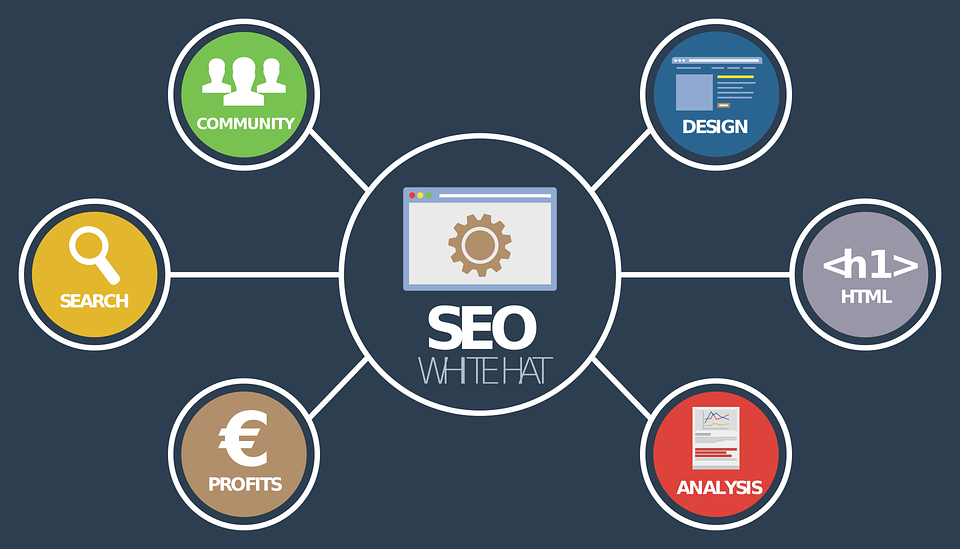 hire seo expert india