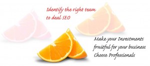 professional-seo-services-cochin