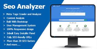 SEO Analysis Services analyser